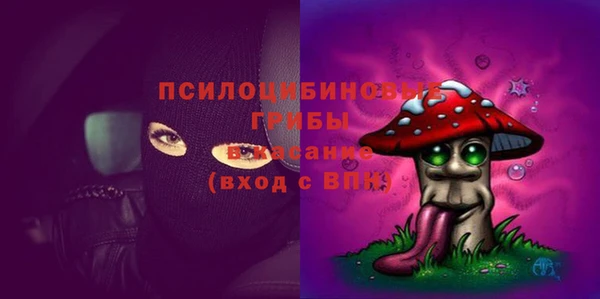 2c-b Алексин