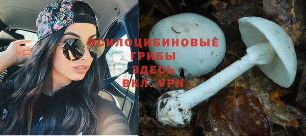 гашиш Алексеевка