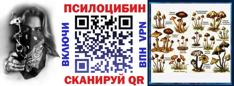 Галлюциногенные грибы Psilocybine cubensis  Урюпинск 